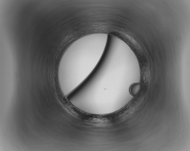 X0000116440455200912081356