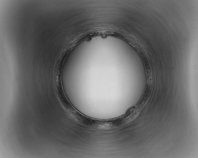 X0000116440456200912081356