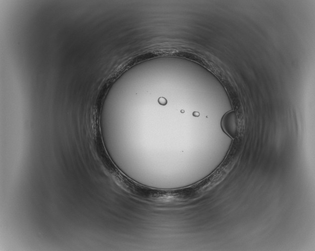 X0000116440460200912081356