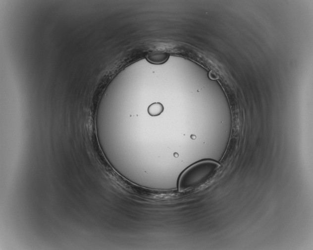 X0000116440461200912081356