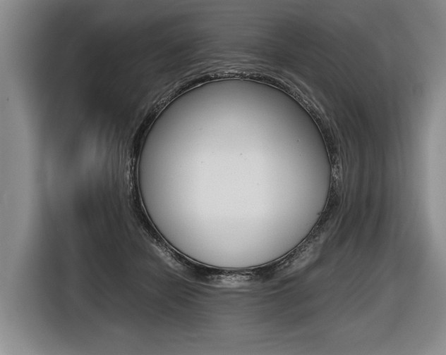 X0000116440462200912081356