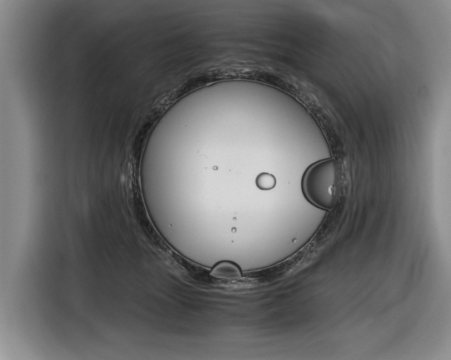 X0000116440463200912081356