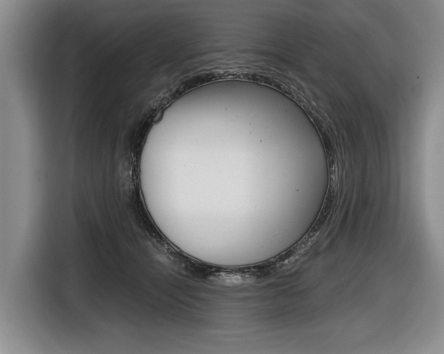 X0000116440464200912081356