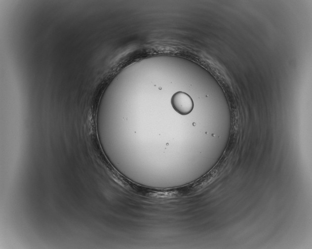 X0000116440465200912081356
