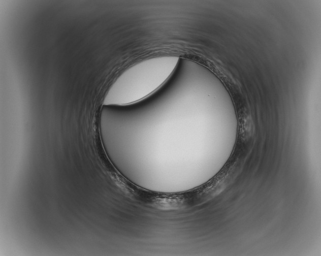 X0000116440466200912081356