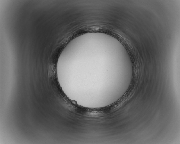 X0000116440467200912081356
