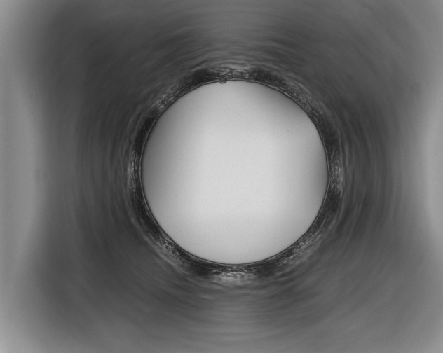 X0000116440468200912081356