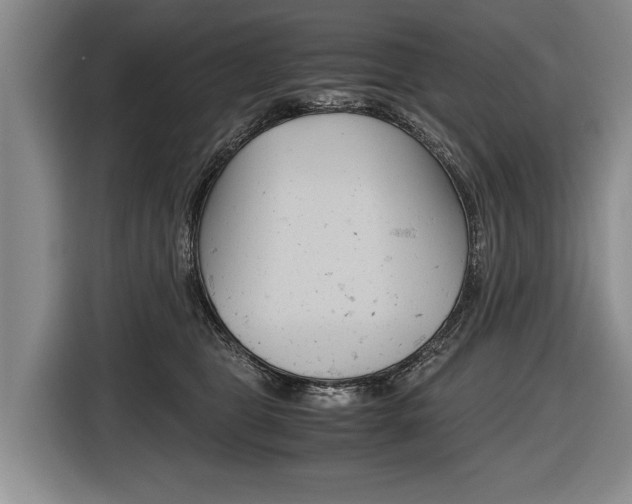 X0000116440469200912081356