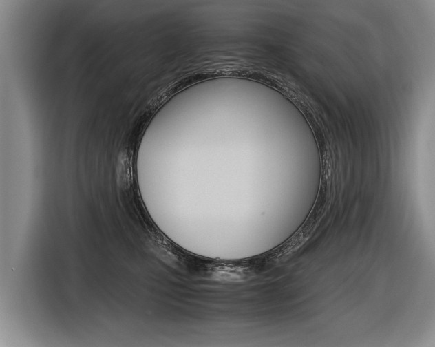 X0000116440471200912081356