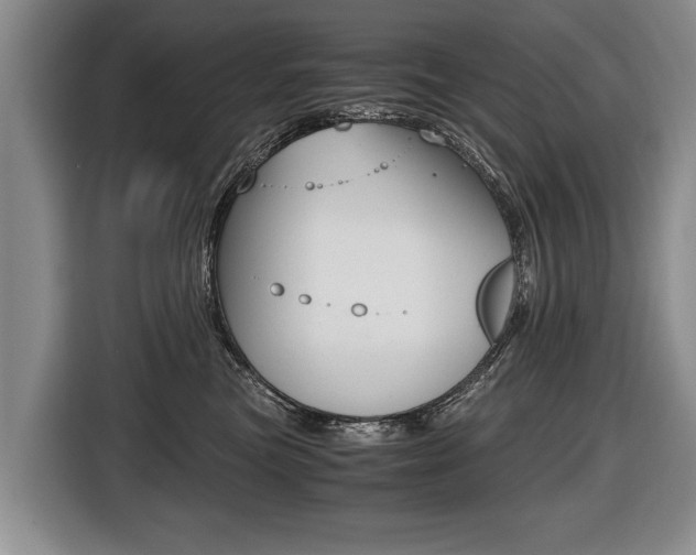 X0000116440473200912081356