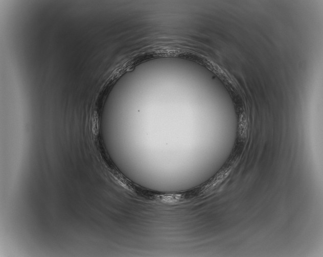 X0000116440474200912081356