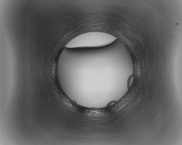 X0000116440475200912081356