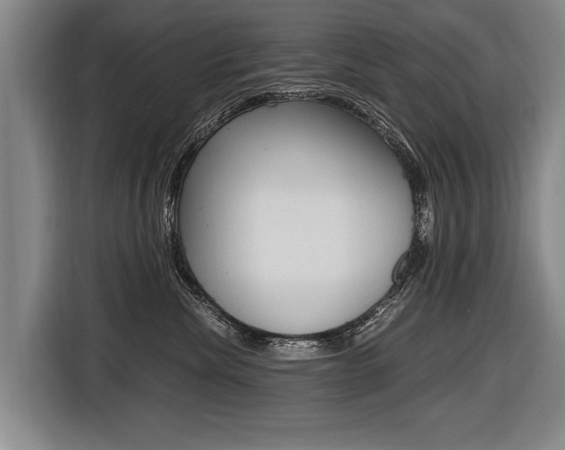 X0000116440476200912081356
