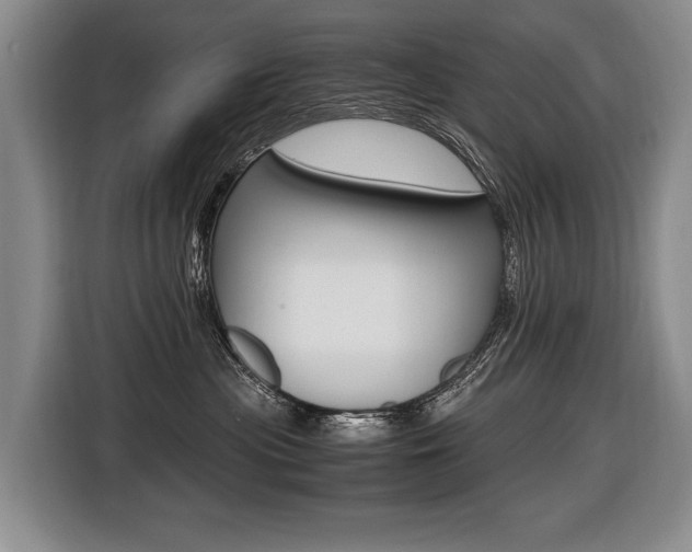 X0000116440477200912081356