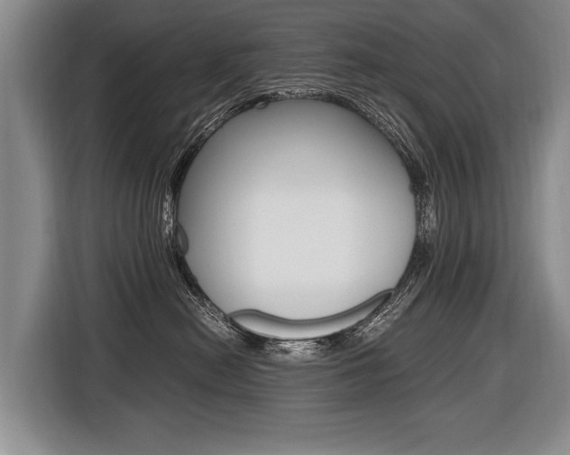X0000116440478200912081356