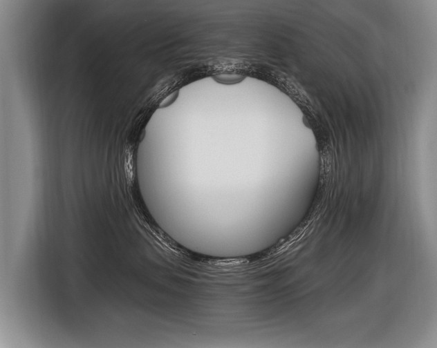 X0000116440479200912081356
