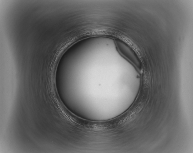 X0000116440481200912081356