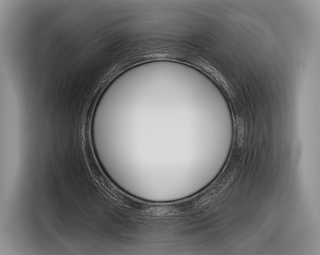 X0000116440482200912081356