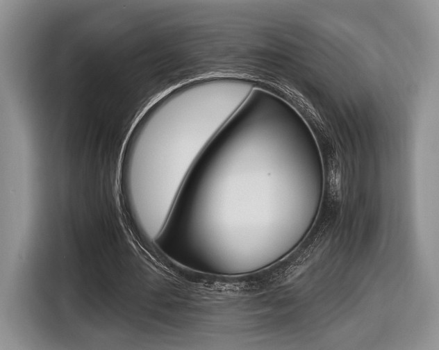 X0000116440484200912081356