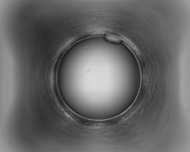X0000116440485200912081356