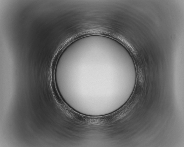 X0000116440486200912081356