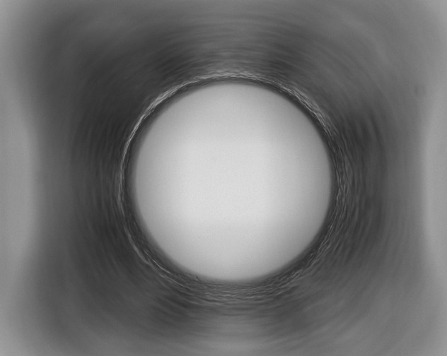 X0000116440488200912081356