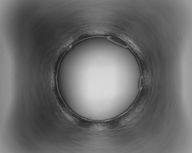 X0000116440489200912081356