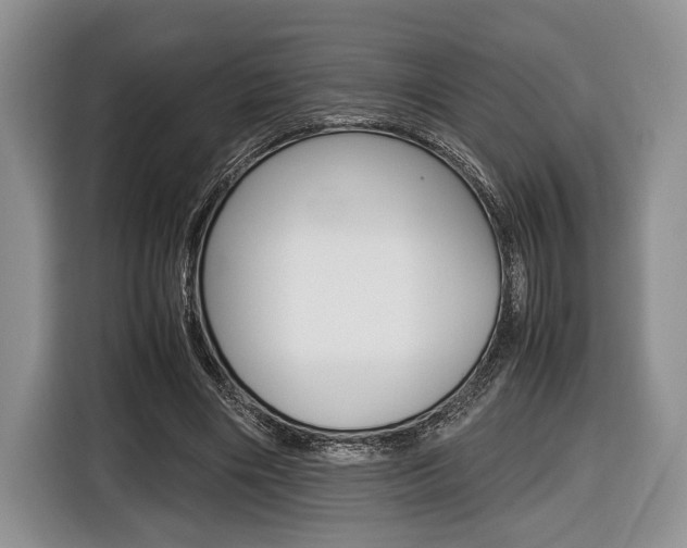 X0000116440490200912081356
