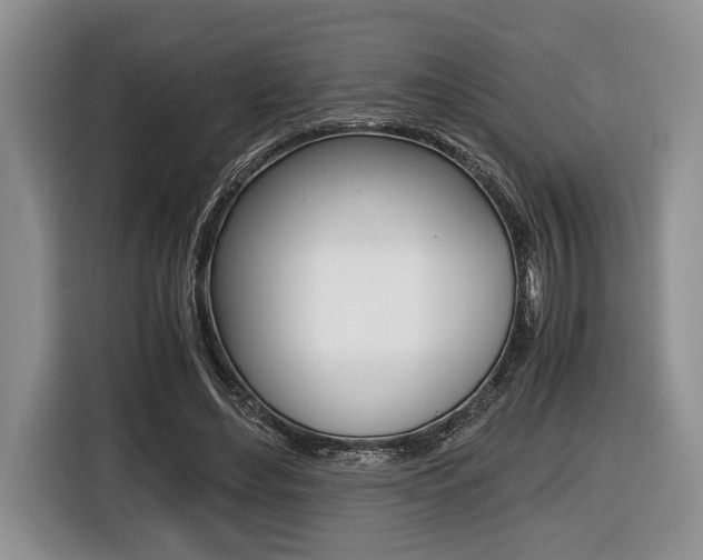 X0000116440492200912081356