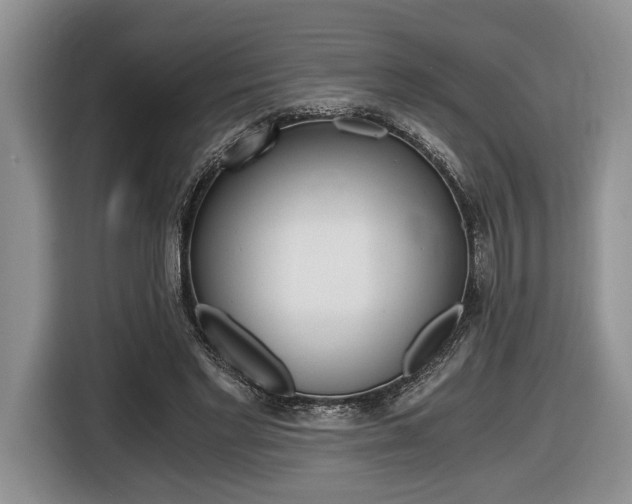 X0000116440493200912081356