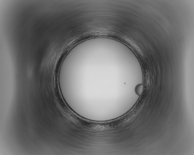 X0000116440494200912081356