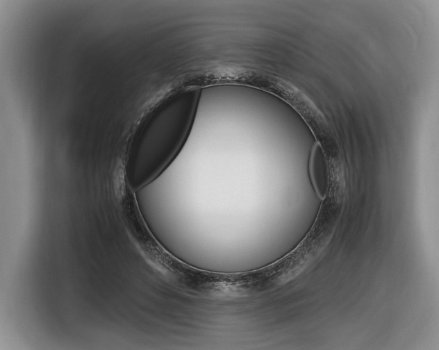 X0000116440496200912081355