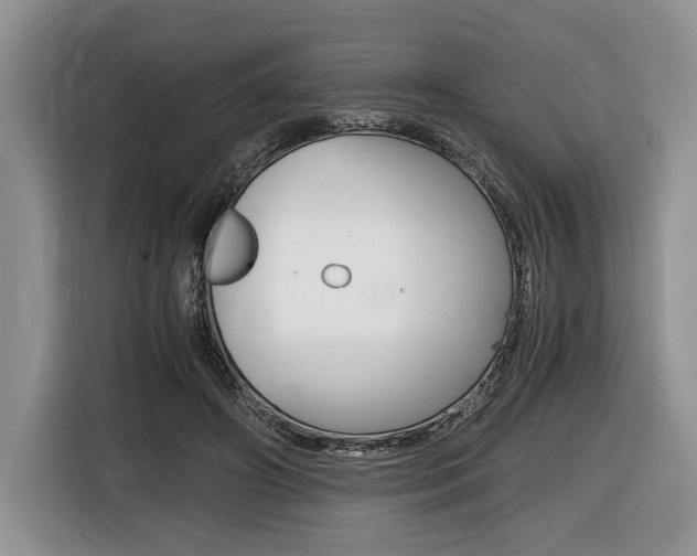 X0000116440498200912081355