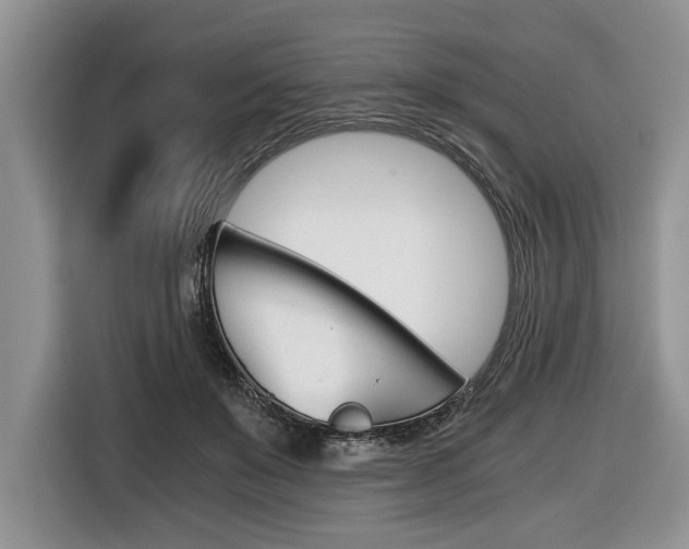 X0000116440503200912081355