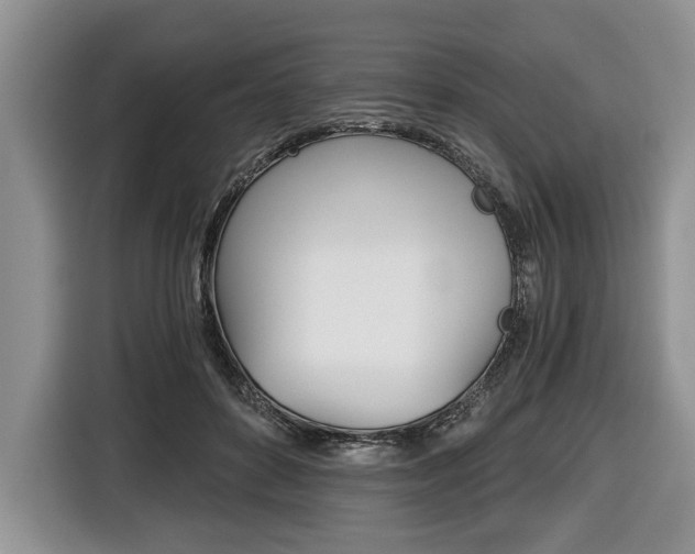 X0000116440504200912081355