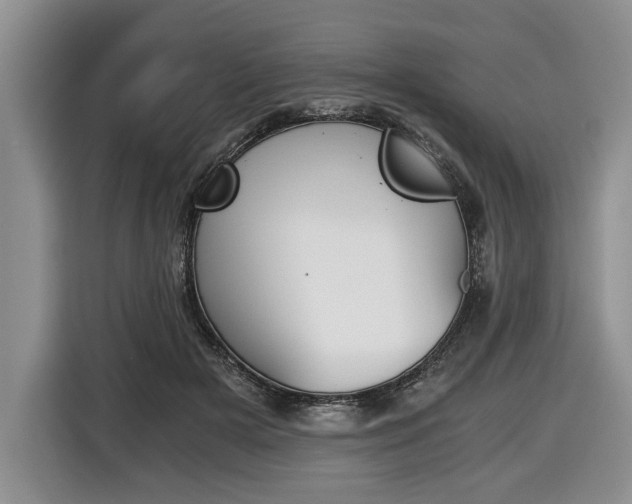 X0000116440505200912081355