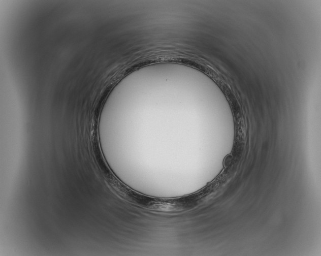 X0000116440507200912081355