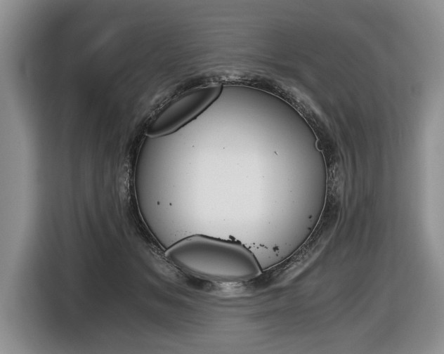 X0000116440509200912081355