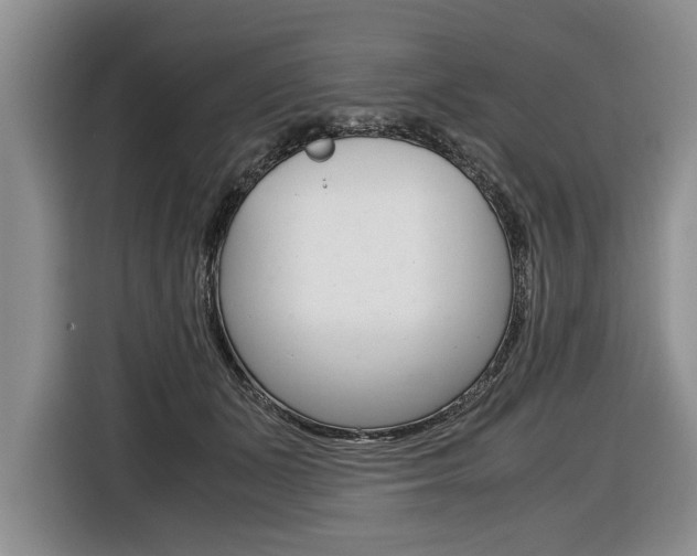 X0000116440511200912081355