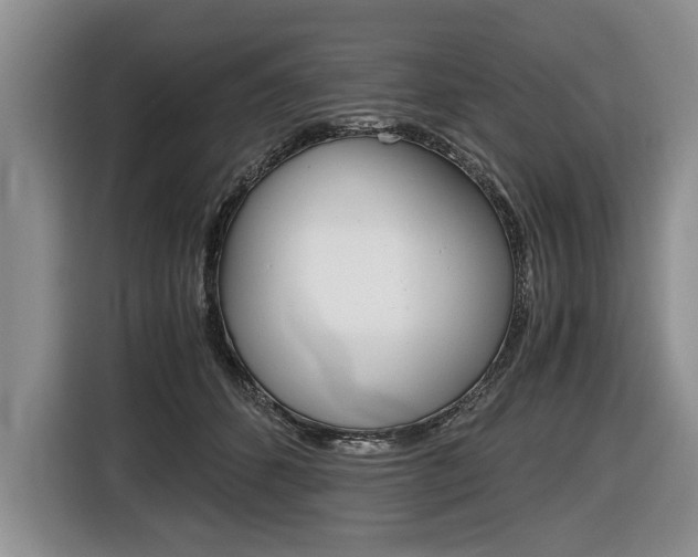 X0000116440512200912081355