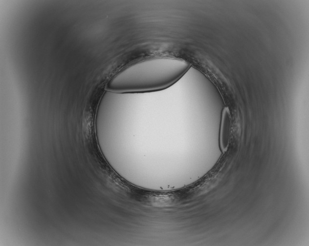 X0000116440513200912081355