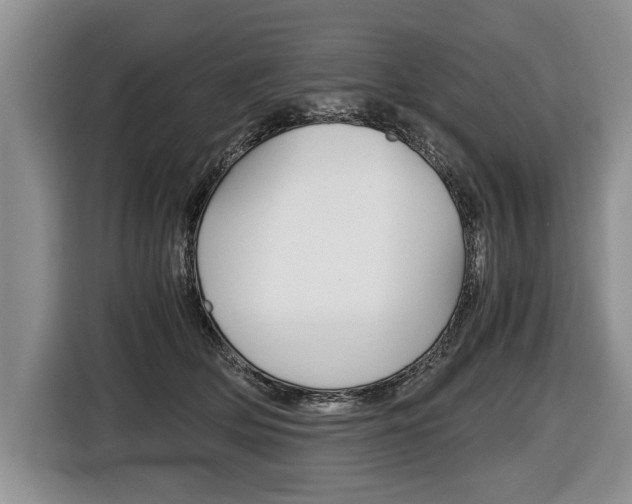 X0000116440514200912081355