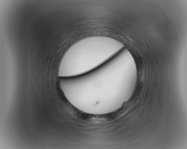X0000116440515200912081355