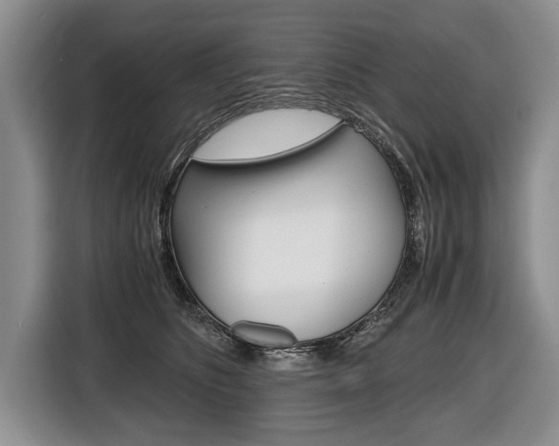 X0000116440516200912081355