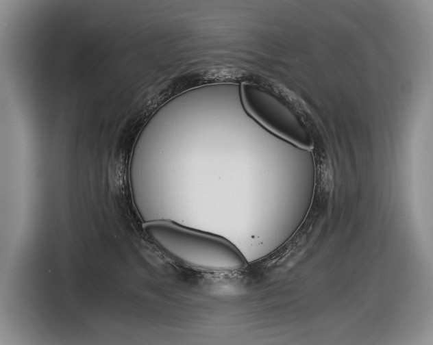 X0000116440517200912081355
