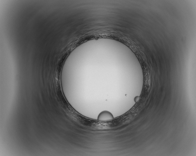 X0000116440518200912081355