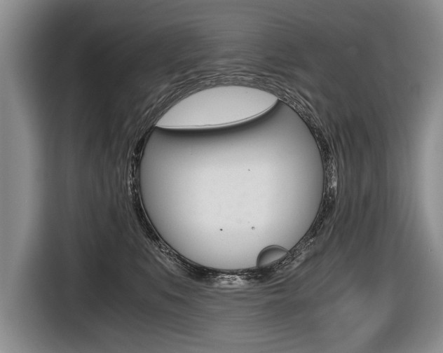 X0000116440519200912081355