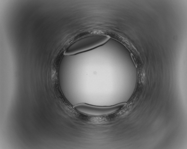 X0000116440521200912081355
