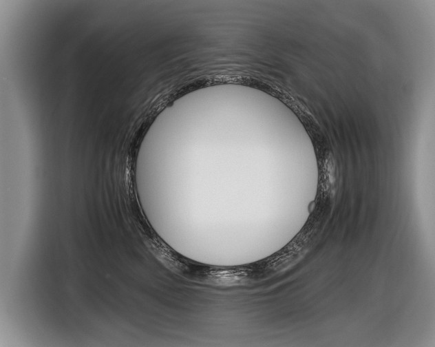X0000116440522200912081355
