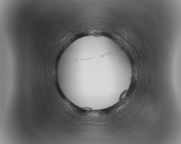 X0000116440523200912081355